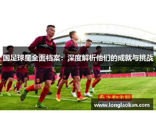 国足球星全面档案：深度解析他们的成就与挑战