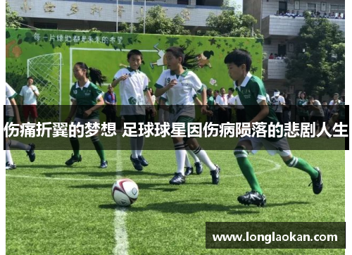 伤痛折翼的梦想 足球球星因伤病陨落的悲剧人生